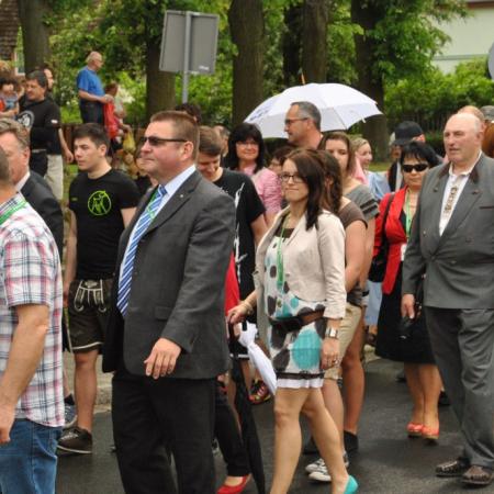 Wyświetl org. rozmiar