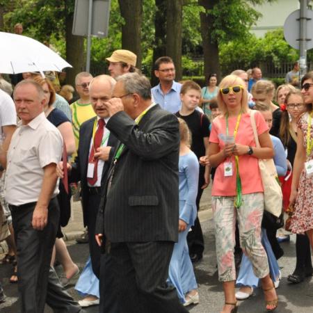 Wyświetl org. rozmiar