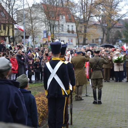Wyświetl org. rozmiar