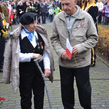 Wyświetl org. rozmiar