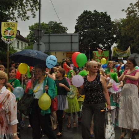 Wyświetl org. rozmiar