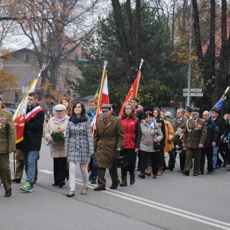 Wyświetl org. rozmiar