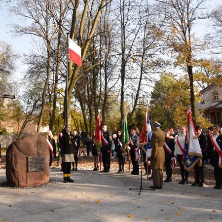 Wyświetl org. rozmiar