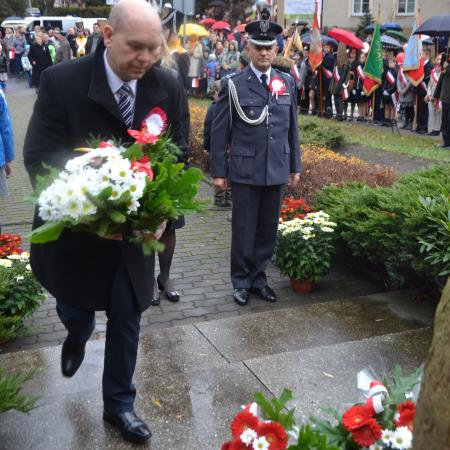 Wyświetl org. rozmiar