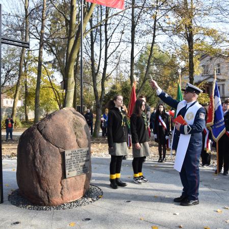 Wyświetl org. rozmiar