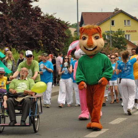 Wyświetl org. rozmiar