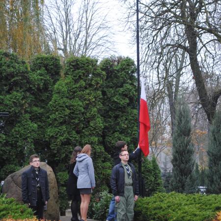 Wyświetl org. rozmiar