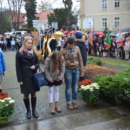 Wyświetl org. rozmiar