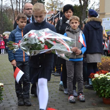 Wyświetl org. rozmiar