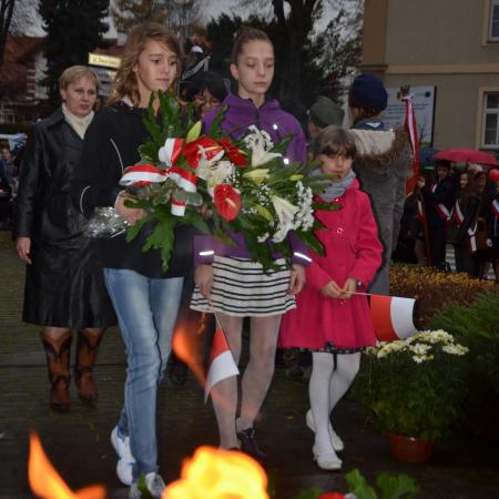 Wyświetl org. rozmiar