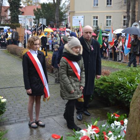 Wyświetl org. rozmiar