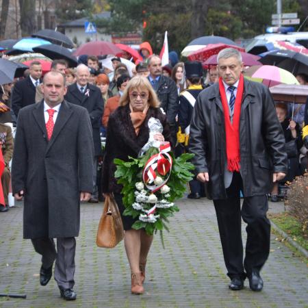 Wyświetl org. rozmiar