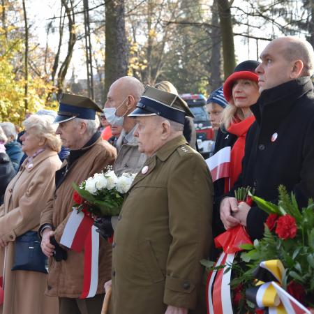 Wyświetl org. rozmiar