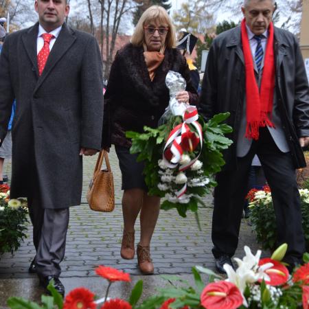 Wyświetl org. rozmiar