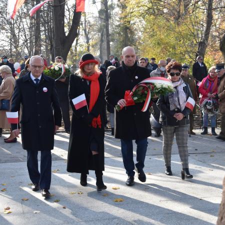 Wyświetl org. rozmiar