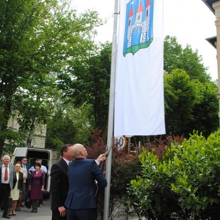 Wyświetl org. rozmiar