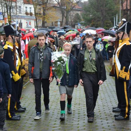 Wyświetl org. rozmiar