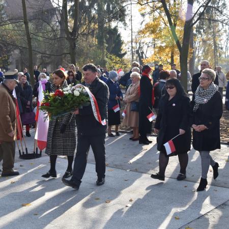 Wyświetl org. rozmiar