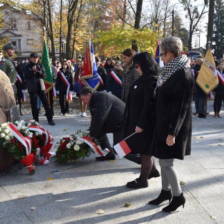 Wyświetl org. rozmiar