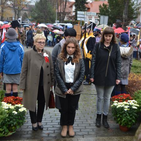 Wyświetl org. rozmiar