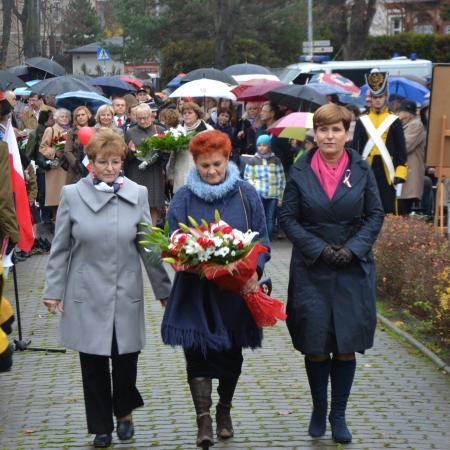 Wyświetl org. rozmiar