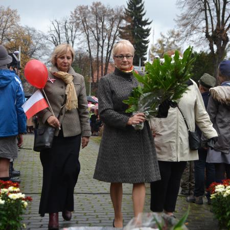 Wyświetl org. rozmiar