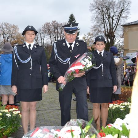 Wyświetl org. rozmiar