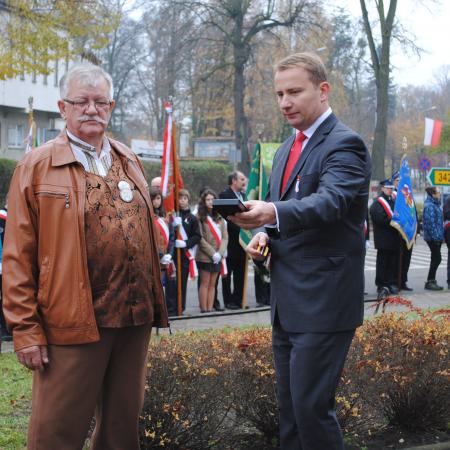 Wyświetl org. rozmiar