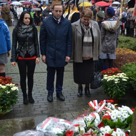 Wyświetl org. rozmiar