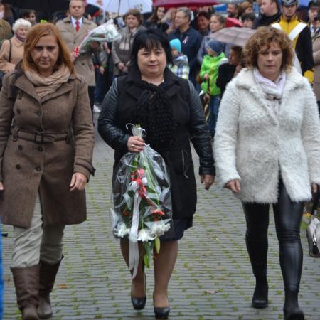 Wyświetl org. rozmiar