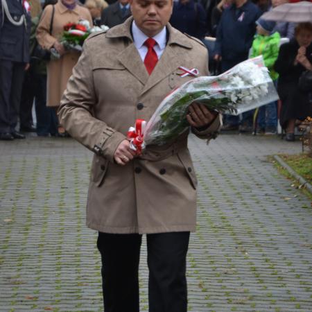 Wyświetl org. rozmiar