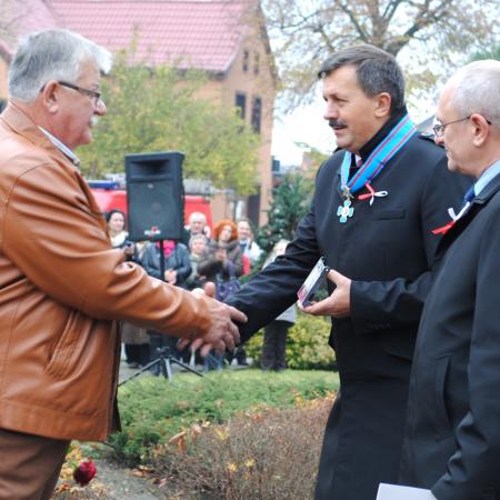 Wyświetl org. rozmiar