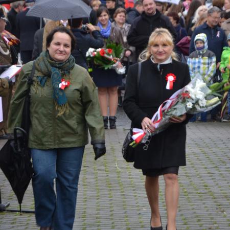 Wyświetl org. rozmiar