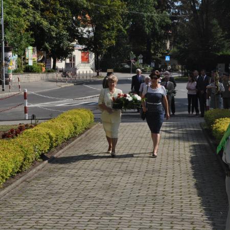 Wyświetl org. rozmiar