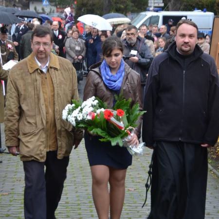 Wyświetl org. rozmiar