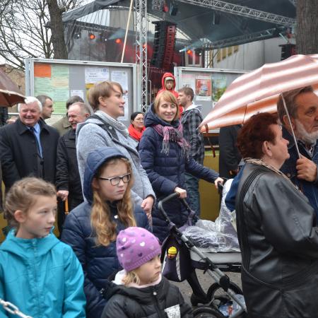 Wyświetl org. rozmiar