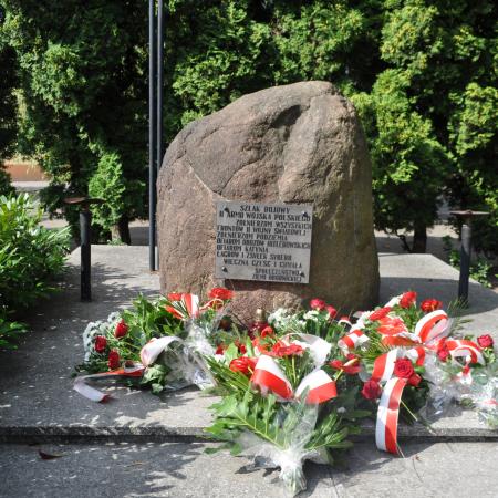 Wyświetl org. rozmiar