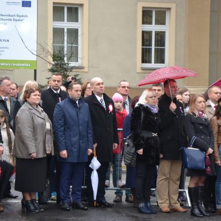 Wyświetl org. rozmiar