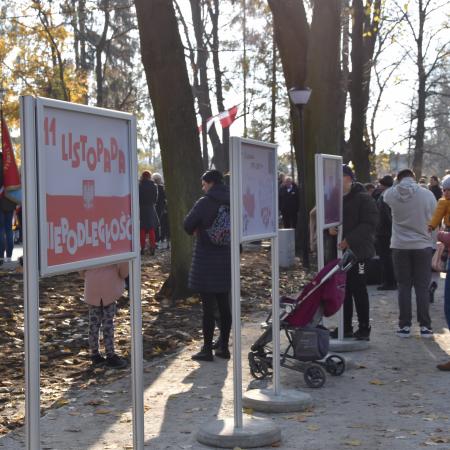 Wyświetl org. rozmiar