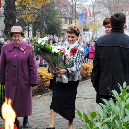 Wyświetl org. rozmiar