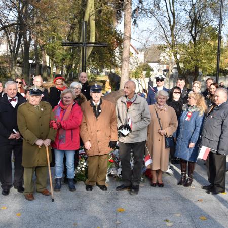 Wyświetl org. rozmiar