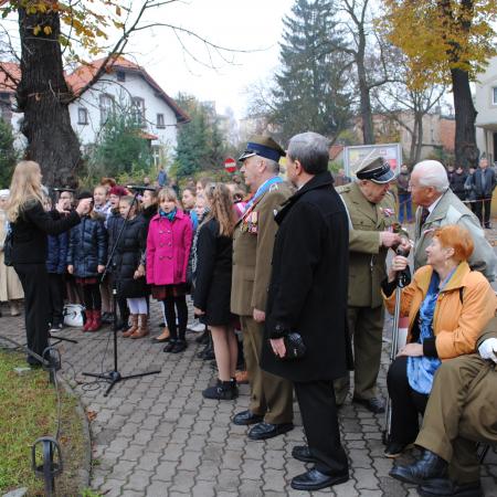 Wyświetl org. rozmiar