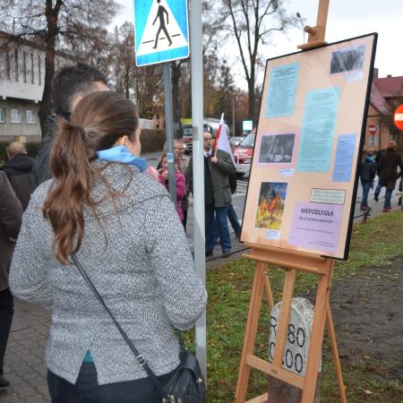 Wyświetl org. rozmiar