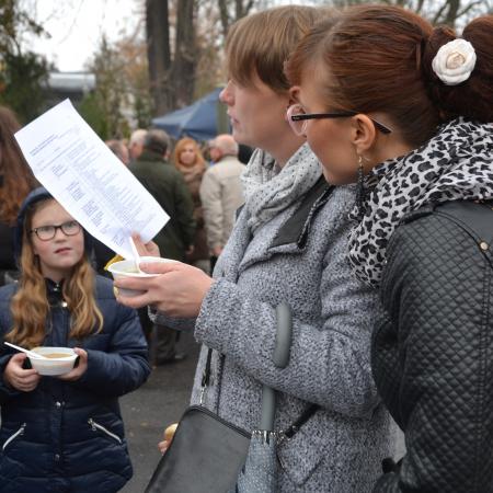 Wyświetl org. rozmiar