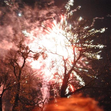 Wyświetl org. rozmiar