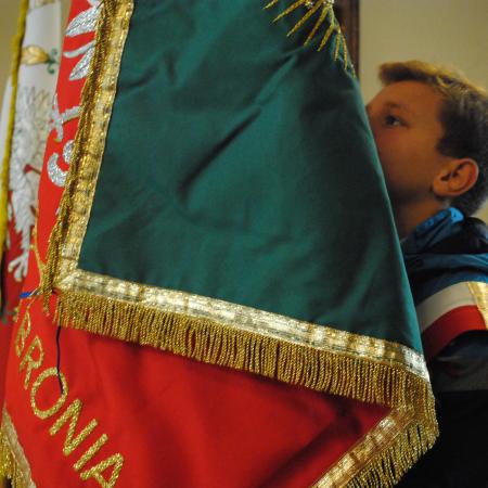 Wyświetl org. rozmiar