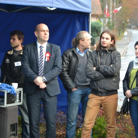 Wyświetl org. rozmiar