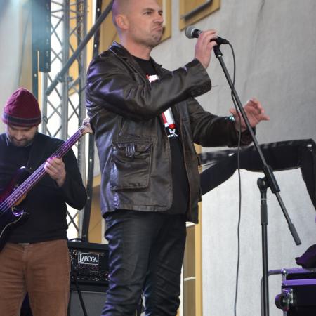Wyświetl org. rozmiar