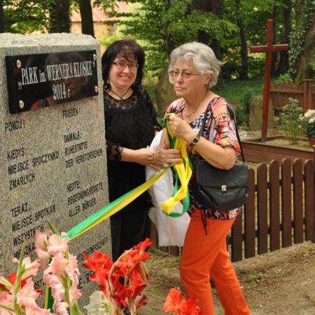 Wyświetl org. rozmiar