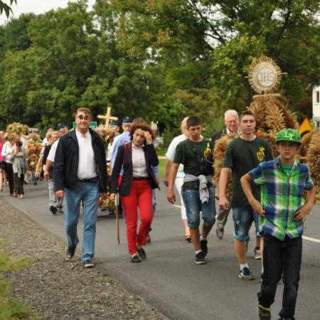 Wyświetl org. rozmiar